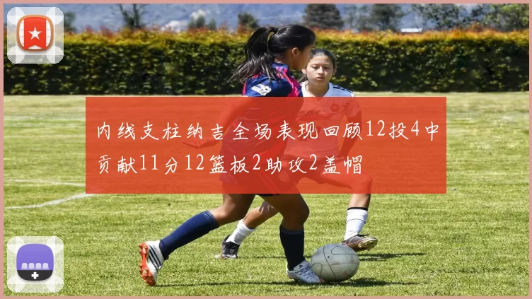 内线支柱纳吉全场表现回顾12投4中贡献11分12篮板2助攻2盖帽